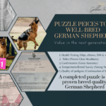 Complete peices to a GSD