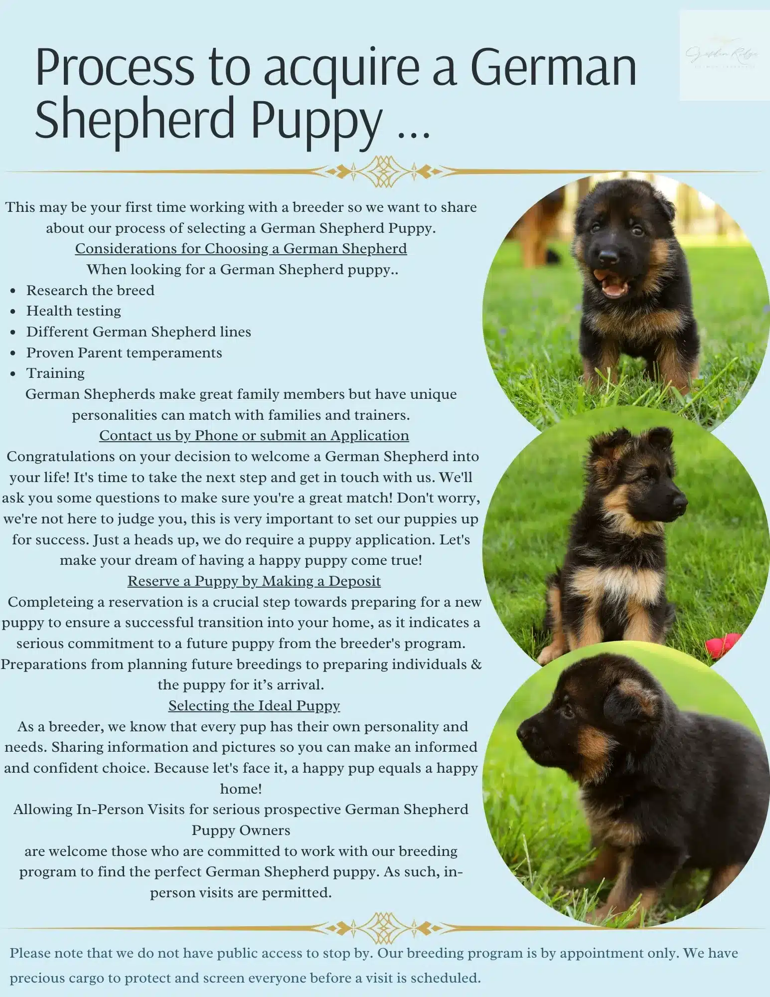 Process to acquire a German Shepherd Puppy ...-2